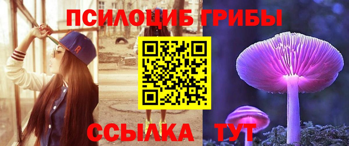 Псилоцибиновые грибы Psilocybine cubensis  Вход с VPN  Галлюциногенные грибы мухоморы  где найти наркотики  Фрязино 